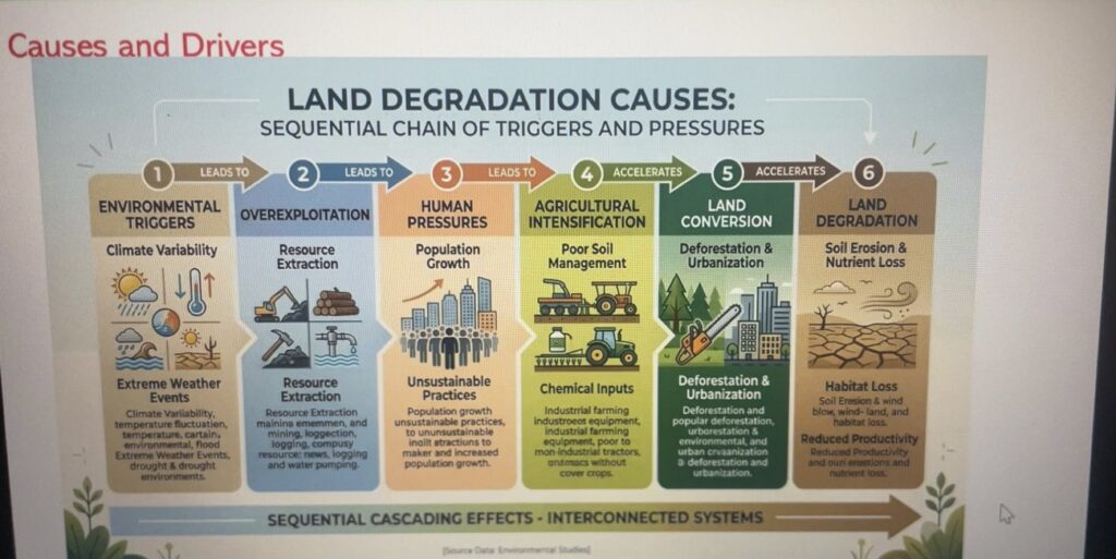 LAND